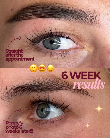 Korean lash lift results